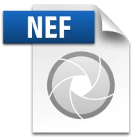 NEF to JPG