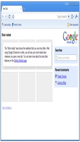 Google Chrome Ana Ekran
